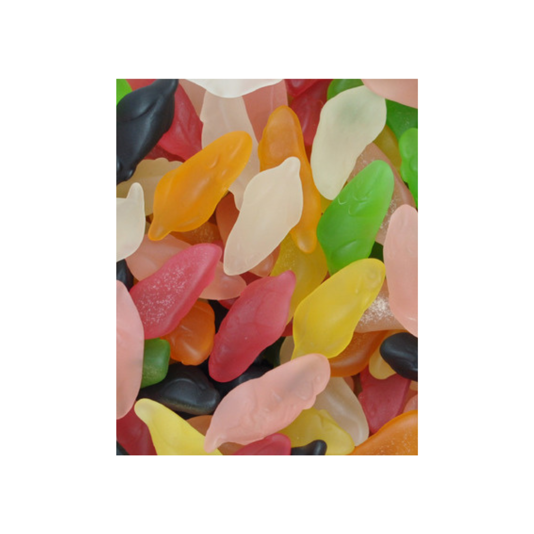 JORIS SOURIS SANS SUCRE (100G)