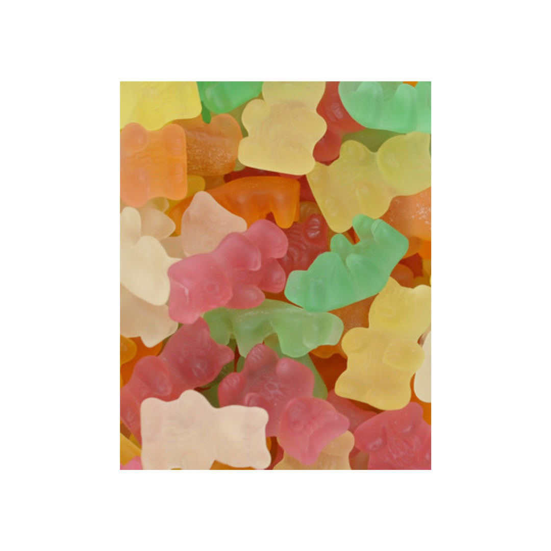 JORIS OURSONS SANS SUCRE (100G)