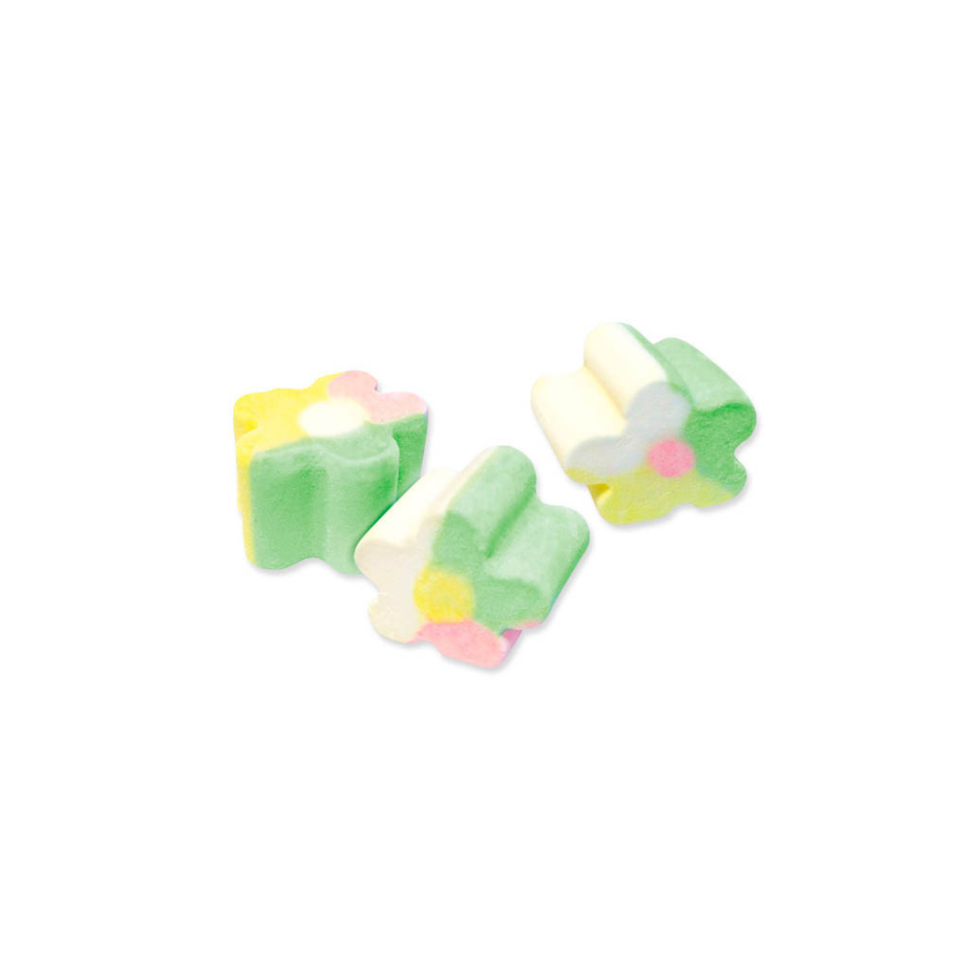 FINI FINITRONC FLEUR (100G)